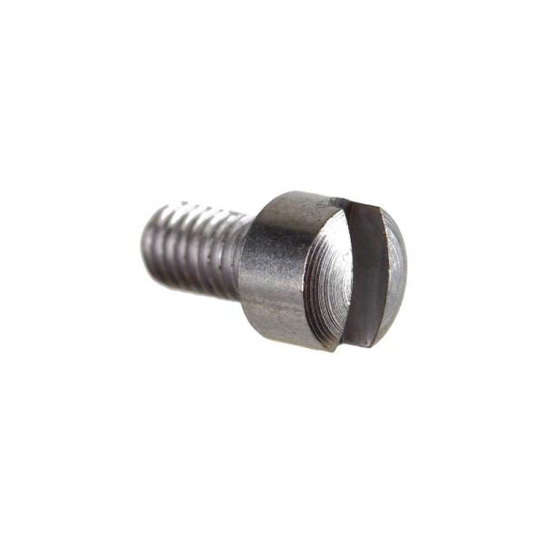 Screw presser foot holder